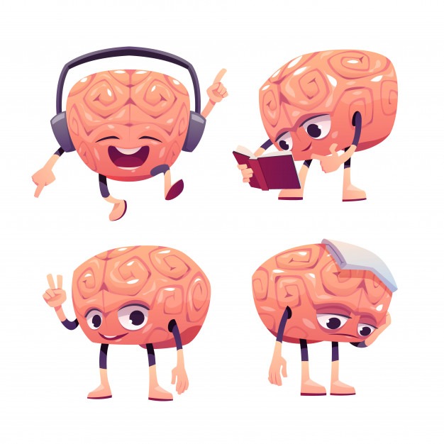 brain