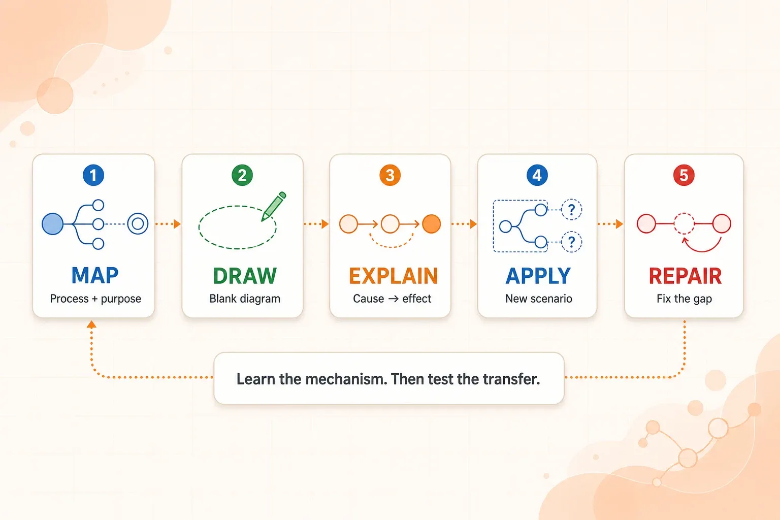 Biology exam study workflow showing a source diagram becoming a process map, blank recall diagram, and checked application.