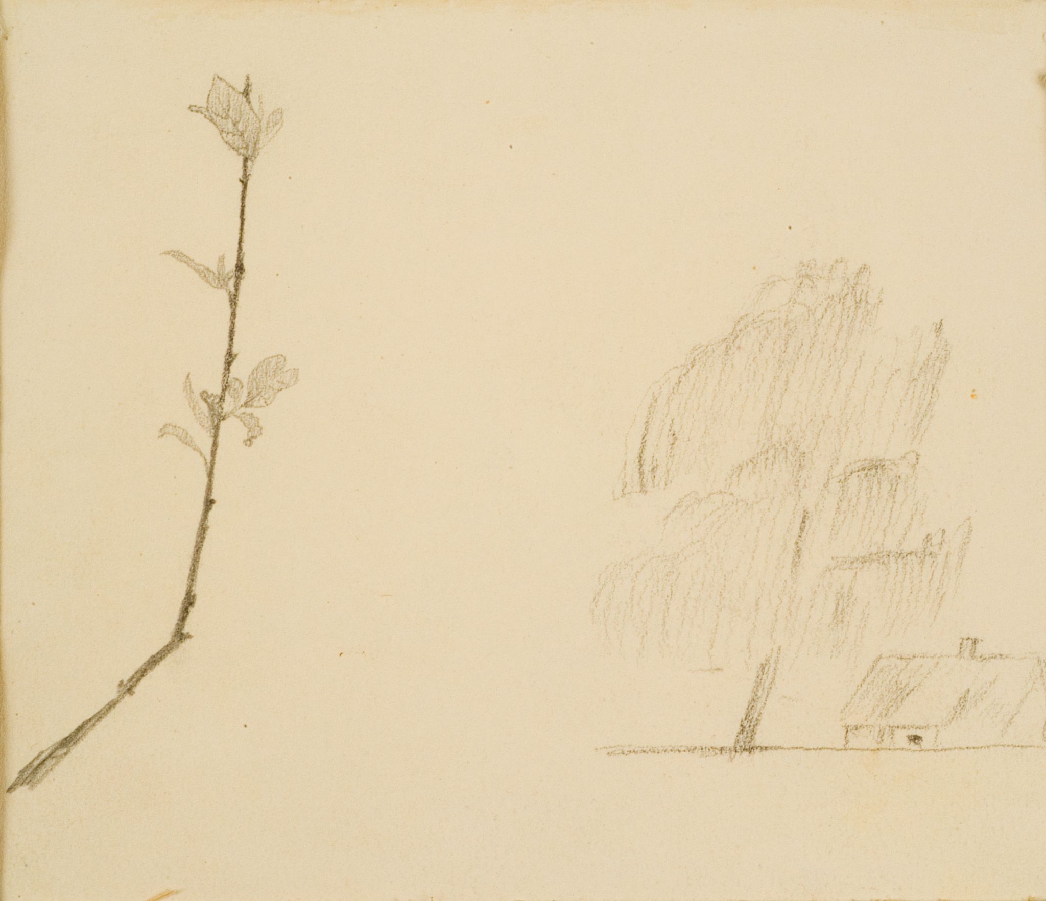 Image for: Landscape and a Twig