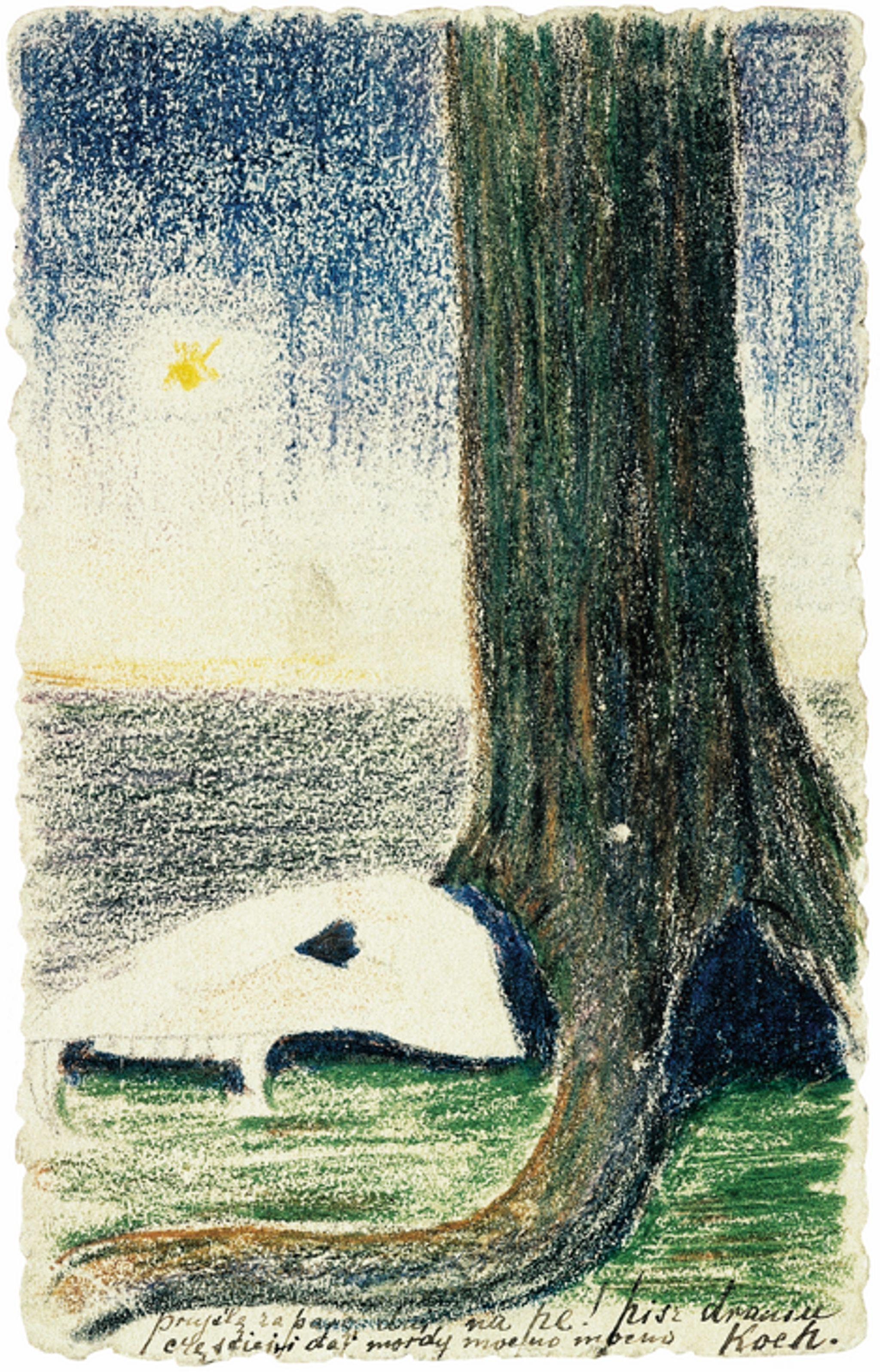 Image for: Tree and the Skull