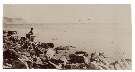 Image for The Boy on the Seashore