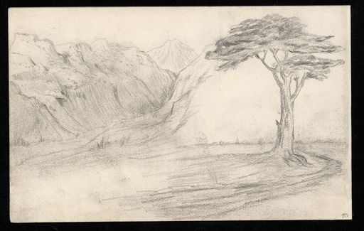 Image for Drawings of Mountain and Pine Tree