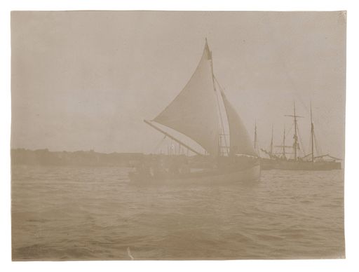 Image for Sailboats
