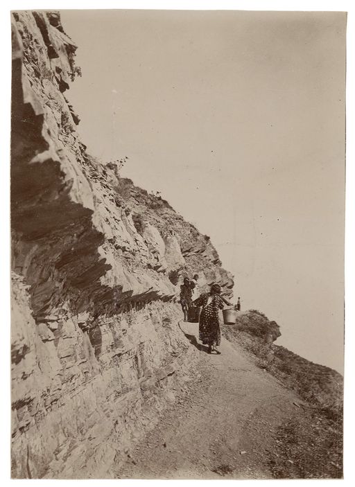 Image for The Woman with the Yoke