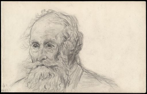Image for Portrait of an Old Man