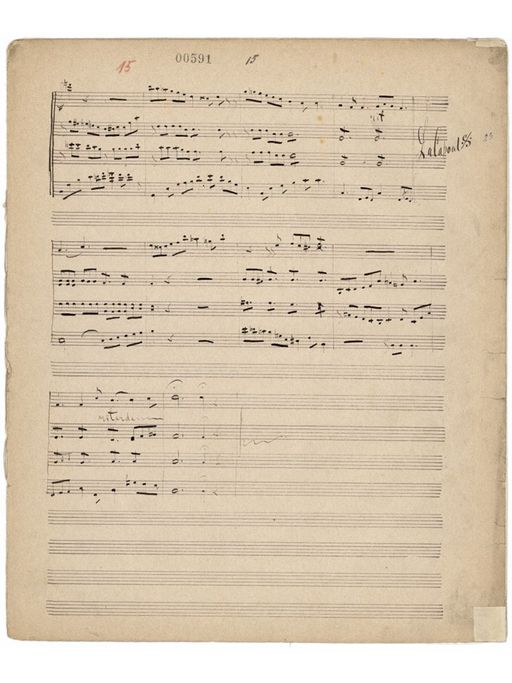 baaea96c-ee5b-48ad-9c88-e4854cc25195.JPG