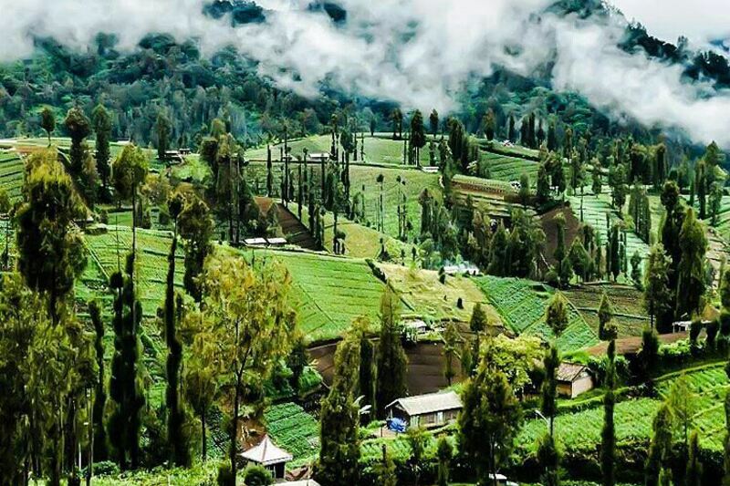 Mengenal Desa Wisata di Gunung Bromo