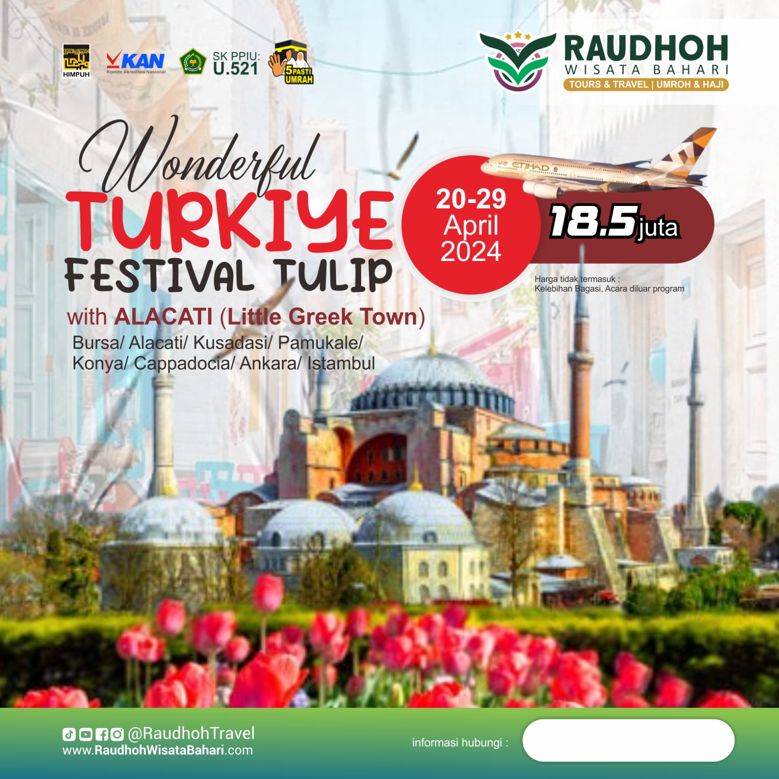 Turkiy Festival Tulip