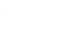 Salwa Tour 