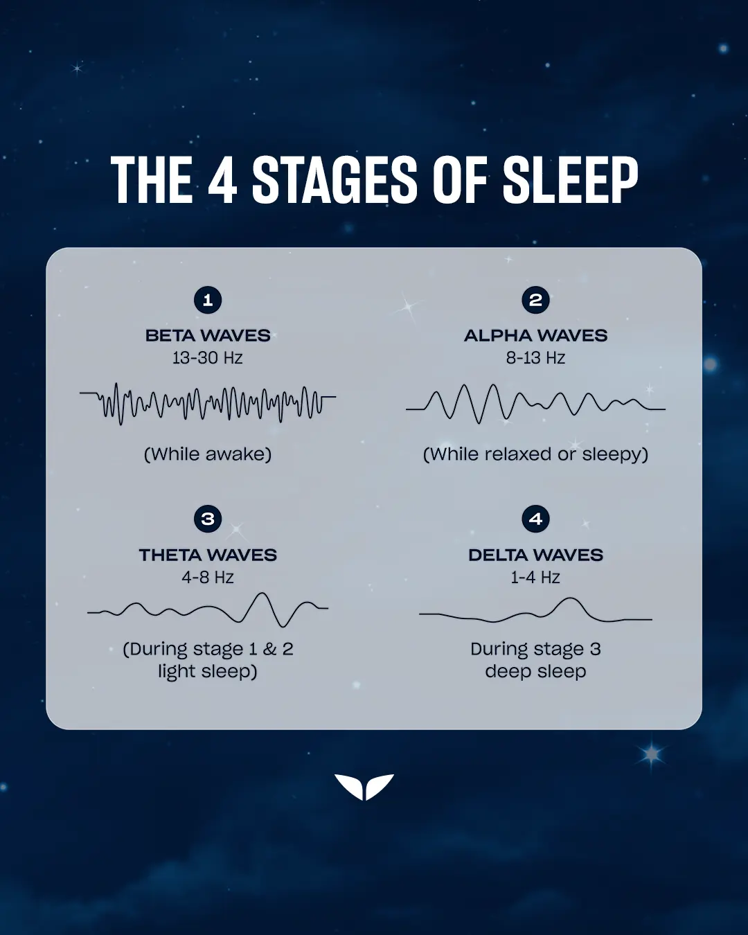 The four brain wave stages of sleep