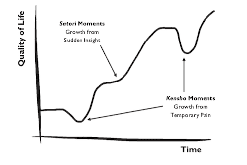 Kensho Vs. Satori Growth