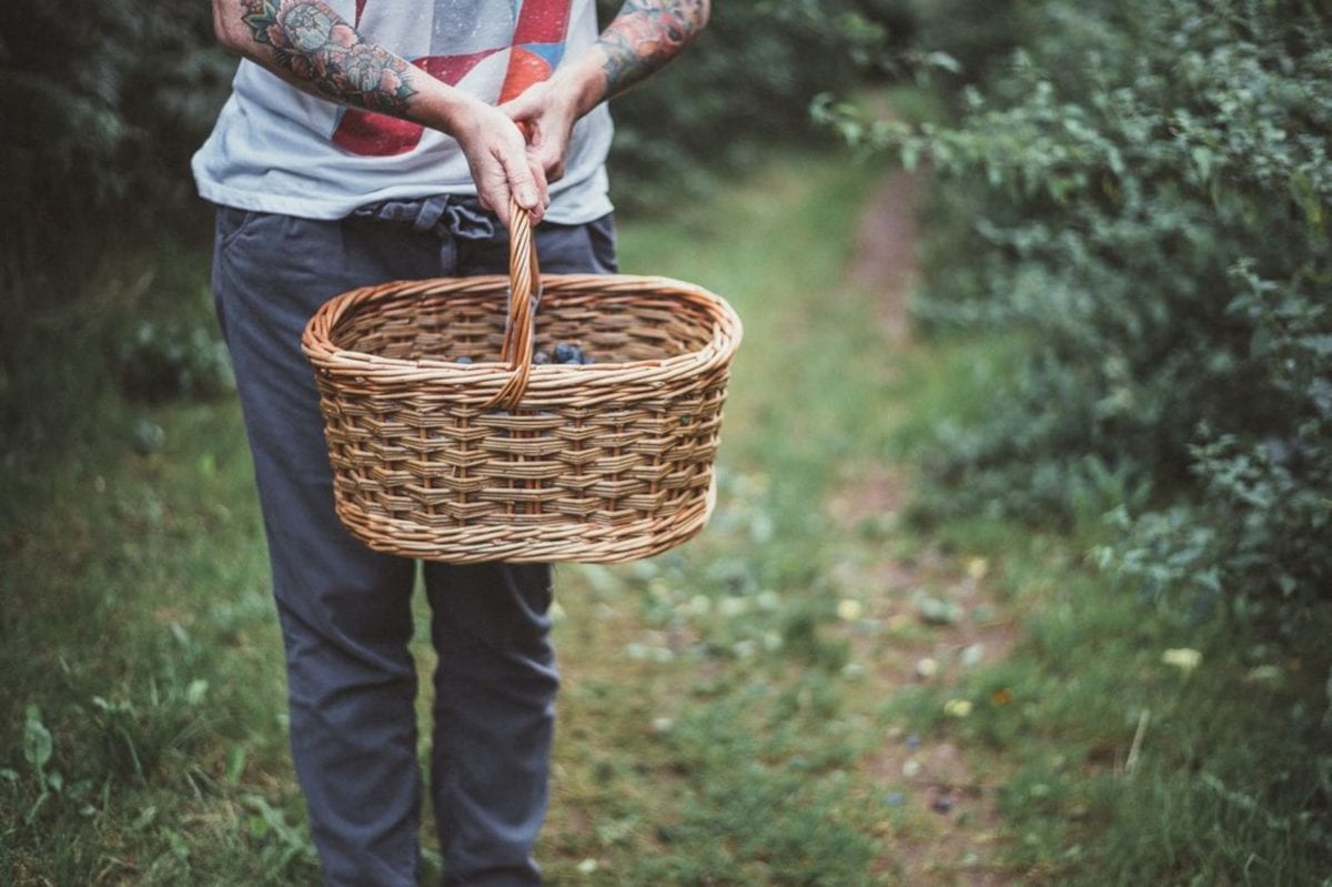 fish basket