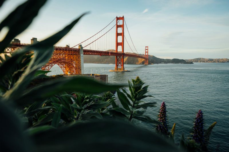 bridge