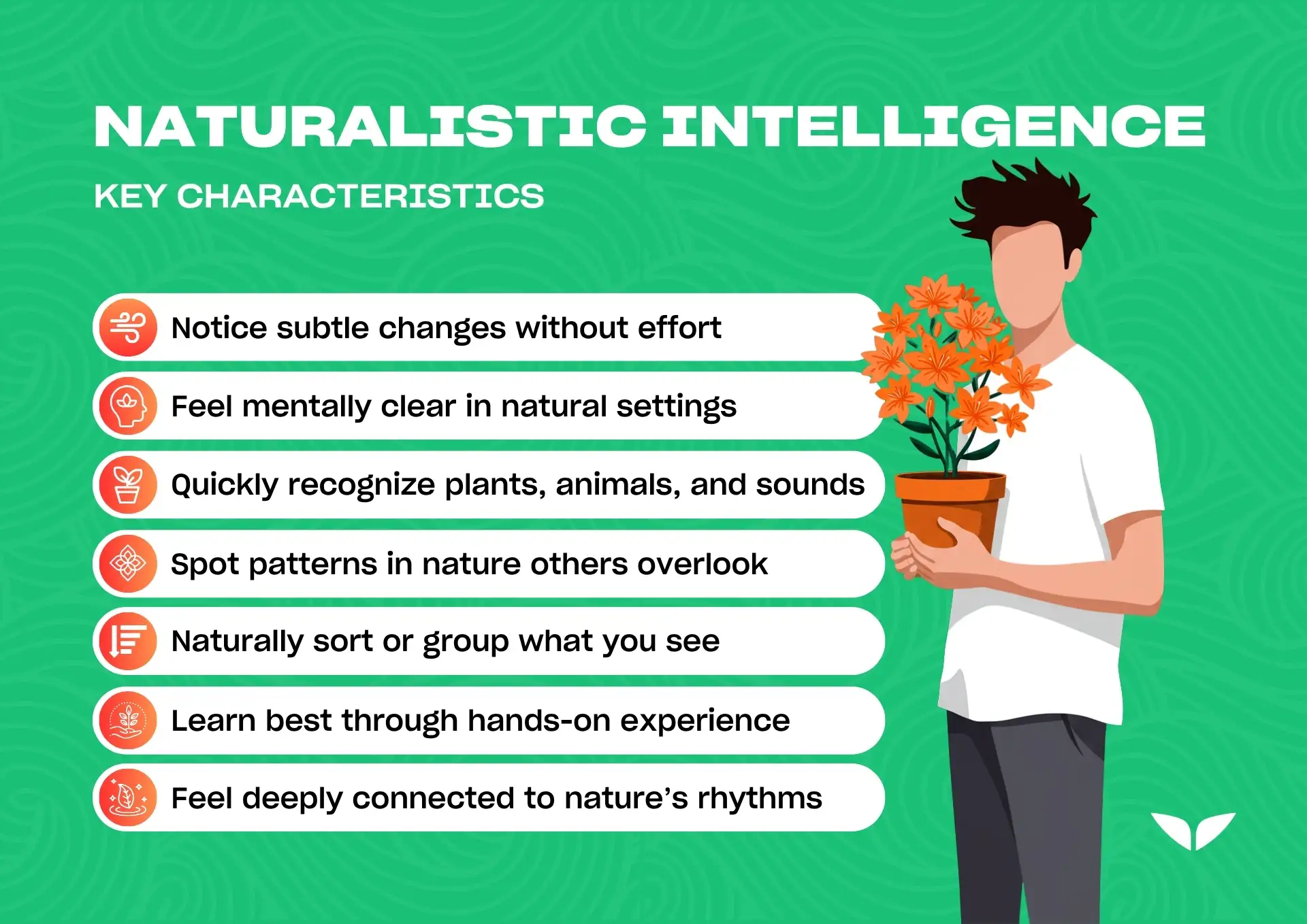 Key characteristics of naturalistic intelligence