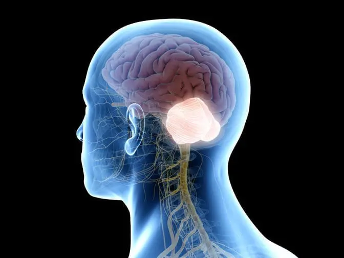 How the cerebellum works- a practical example