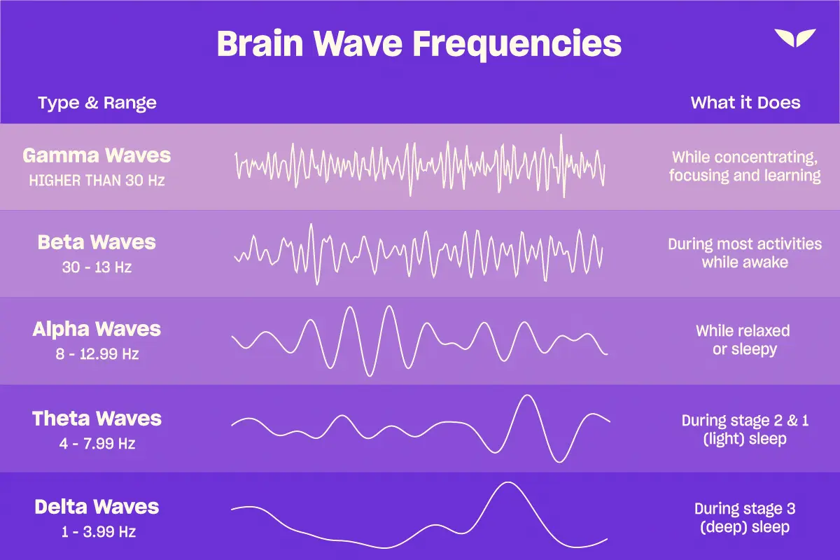 A Mindvalley infographic illustrating different brain wave frequencies, from gamma to delta, explaining their ranges and effects on concentration, relaxation, and sleep.