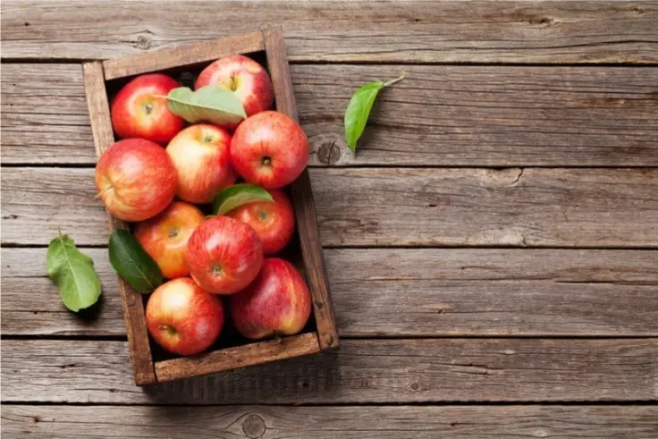 apples