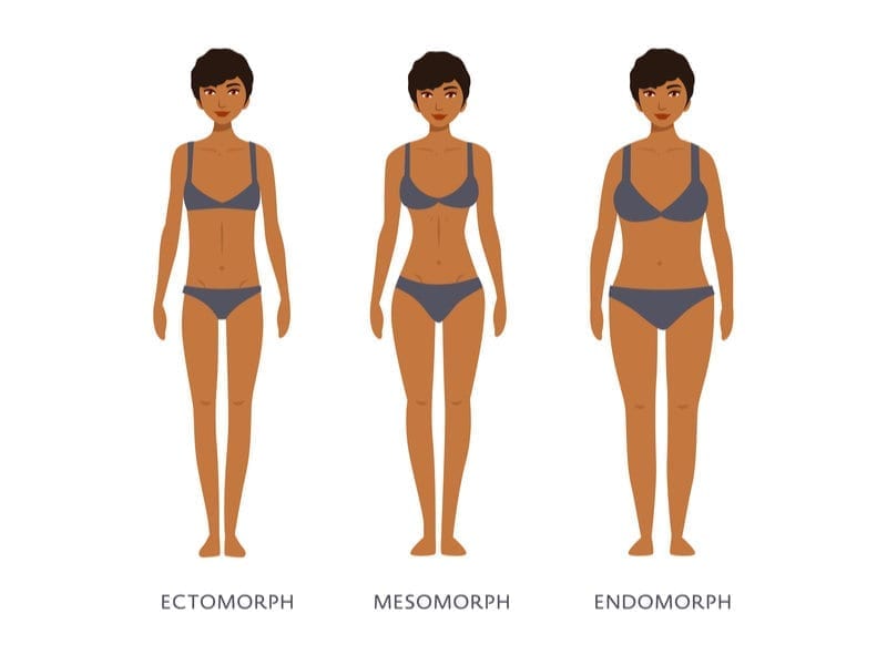 Somatotypes Explained: What's an Ectomorph, Endomorph, and