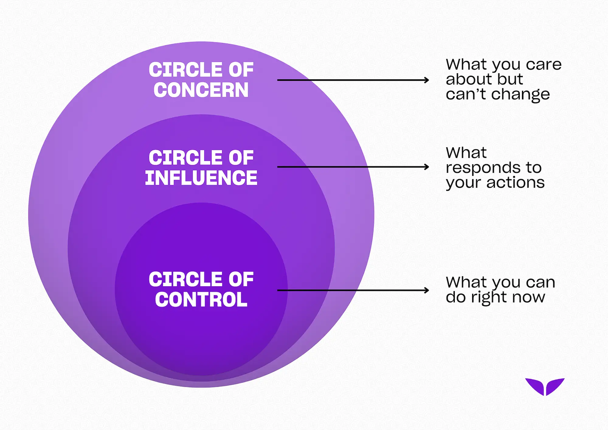 Circle of control, circle of influence, and circle of concern