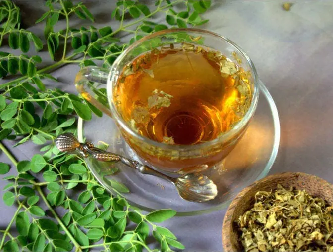 Moringa tea