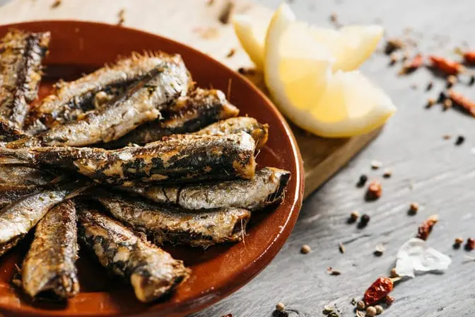Sardines