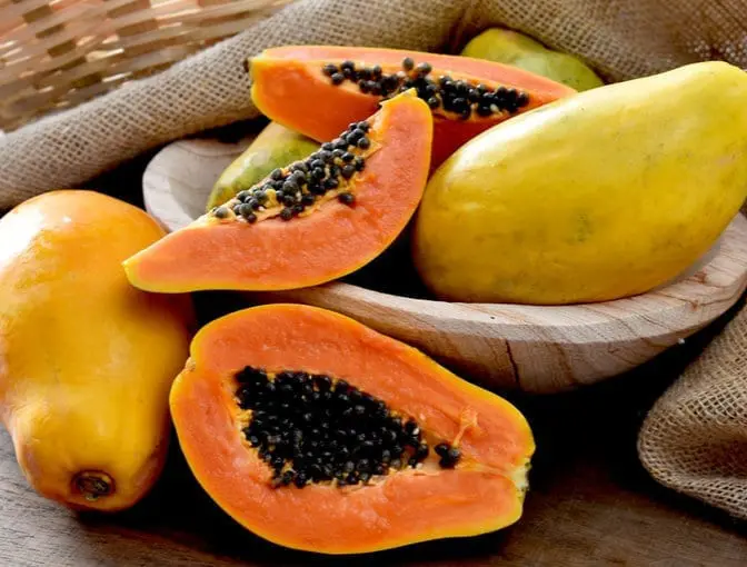 papaya