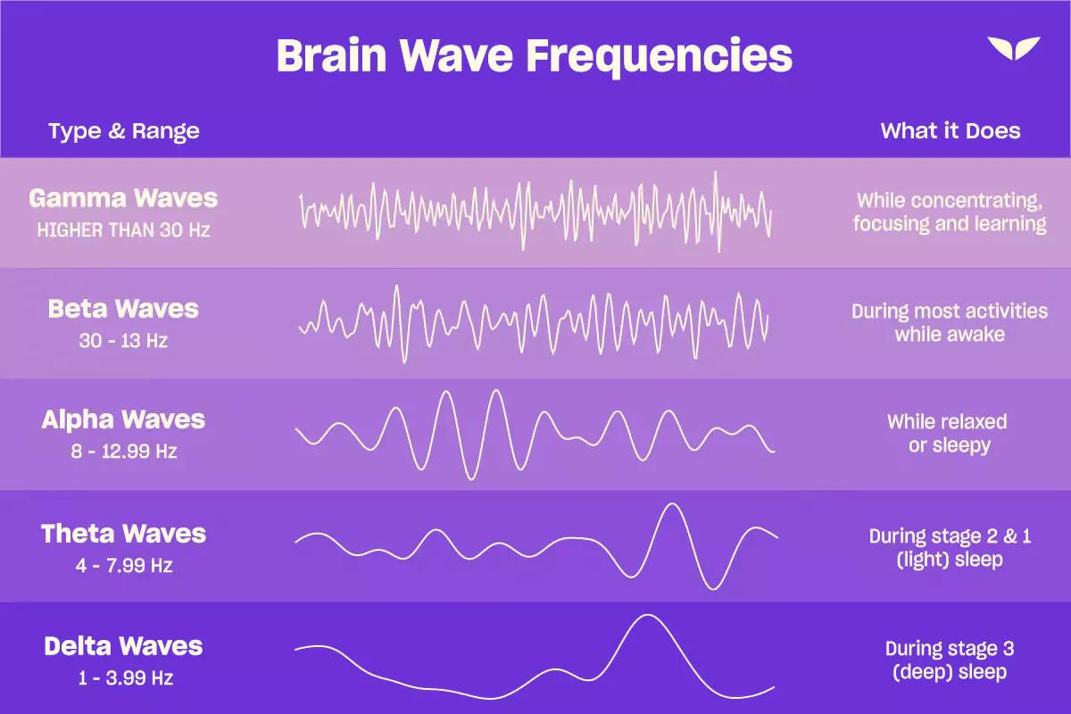 Chart of the brain waves