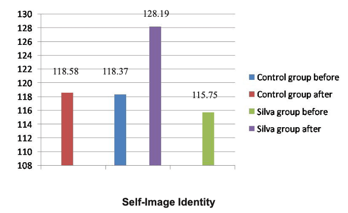 Silva方法自视结果:身份