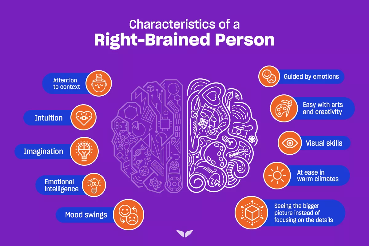 Graphic of the characteristics of a right-brained person