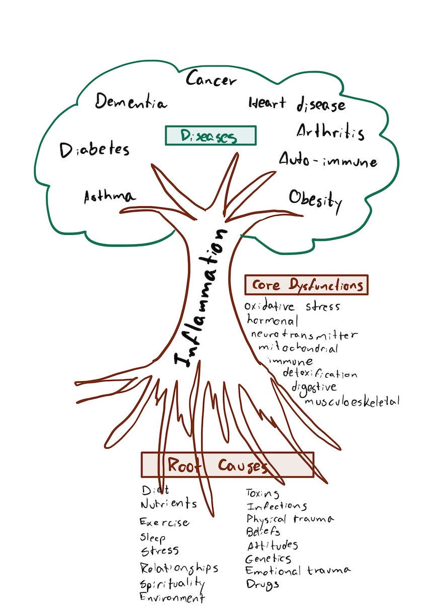 Tree of Diseases and Root Causes