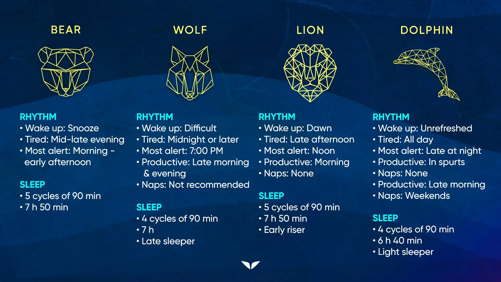 chronotypes_the-mastery-of-sleep_mindvalley