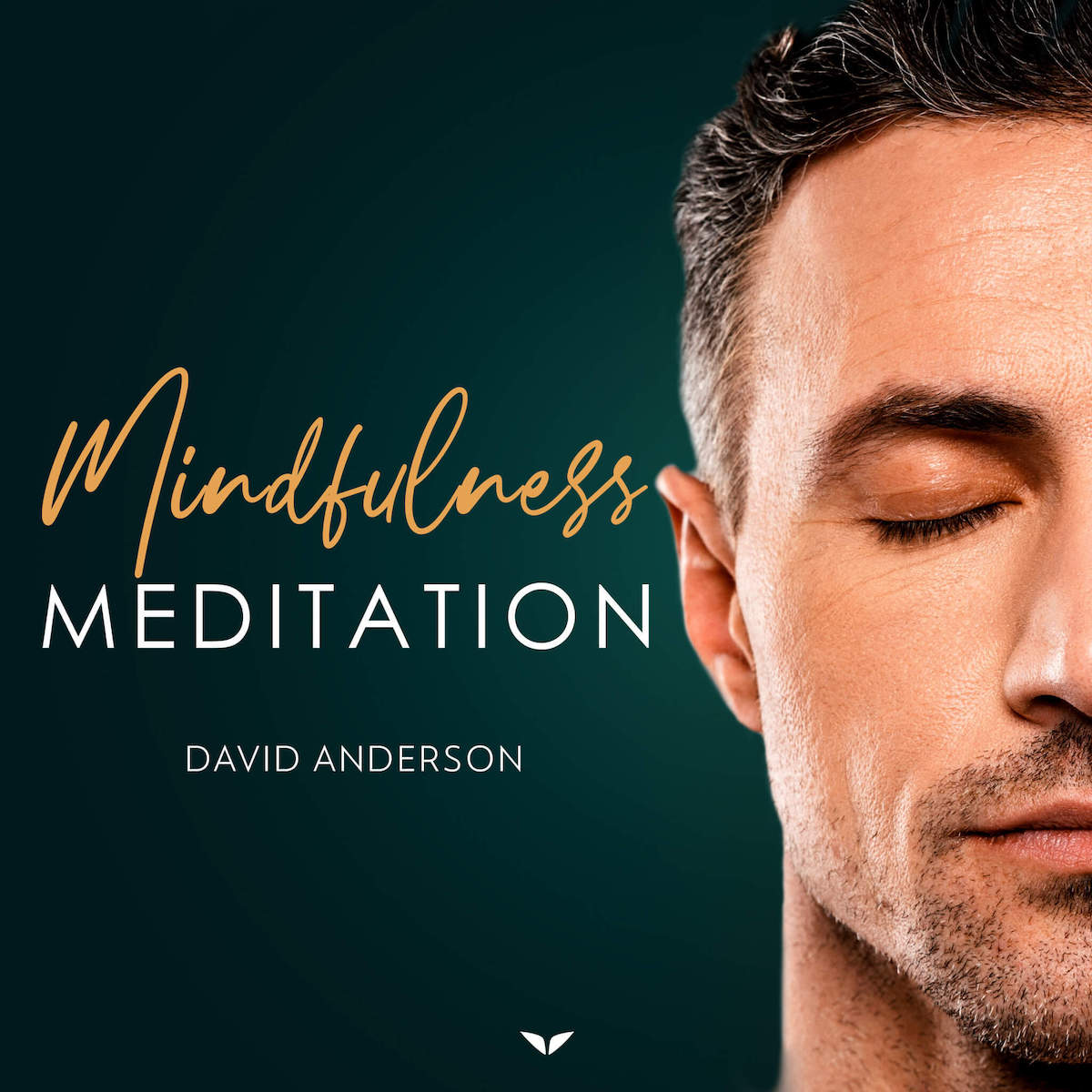 mindfulness meditation by David Anderson on Omvana App