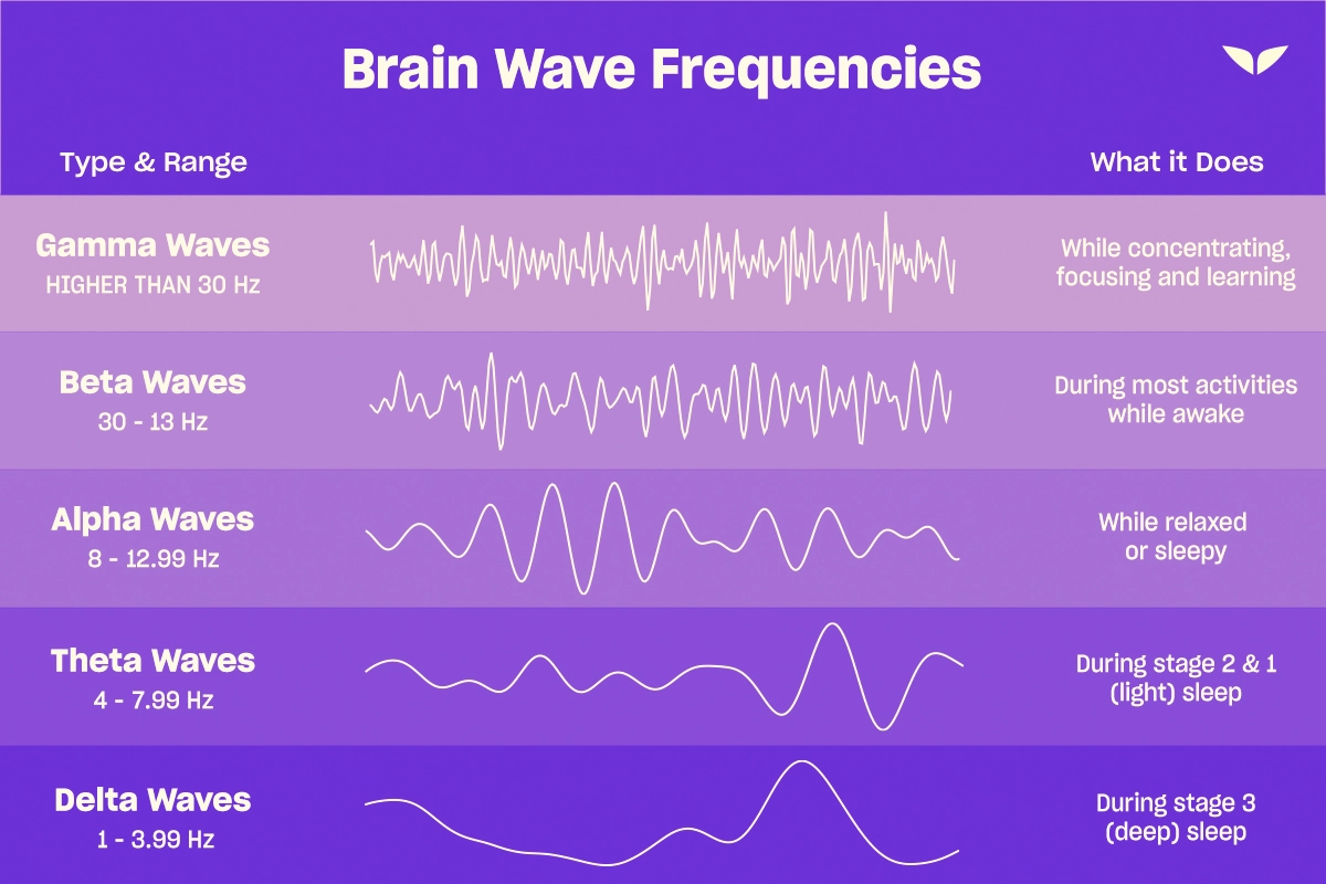 Graphic of the brain wave frequencies