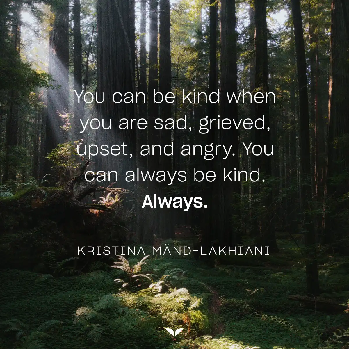 One the many perfectly imperfect quotes about kindness by Kristina Mänd-Lakhiani