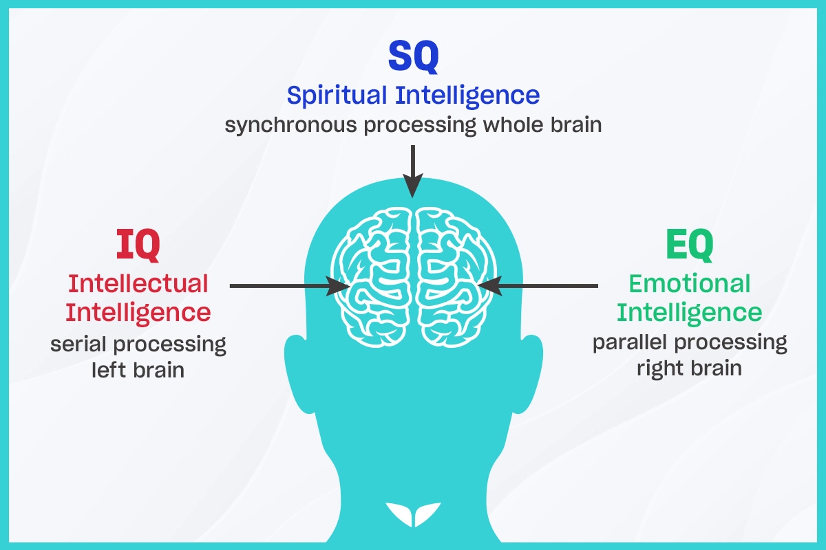 Different types of intelligence