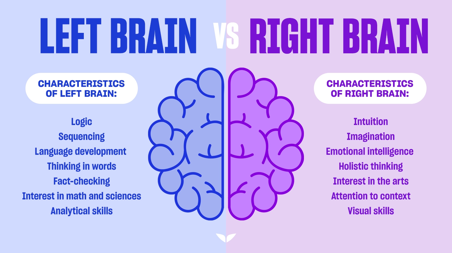 Custom graphic of left brain vs. right brain characteristics