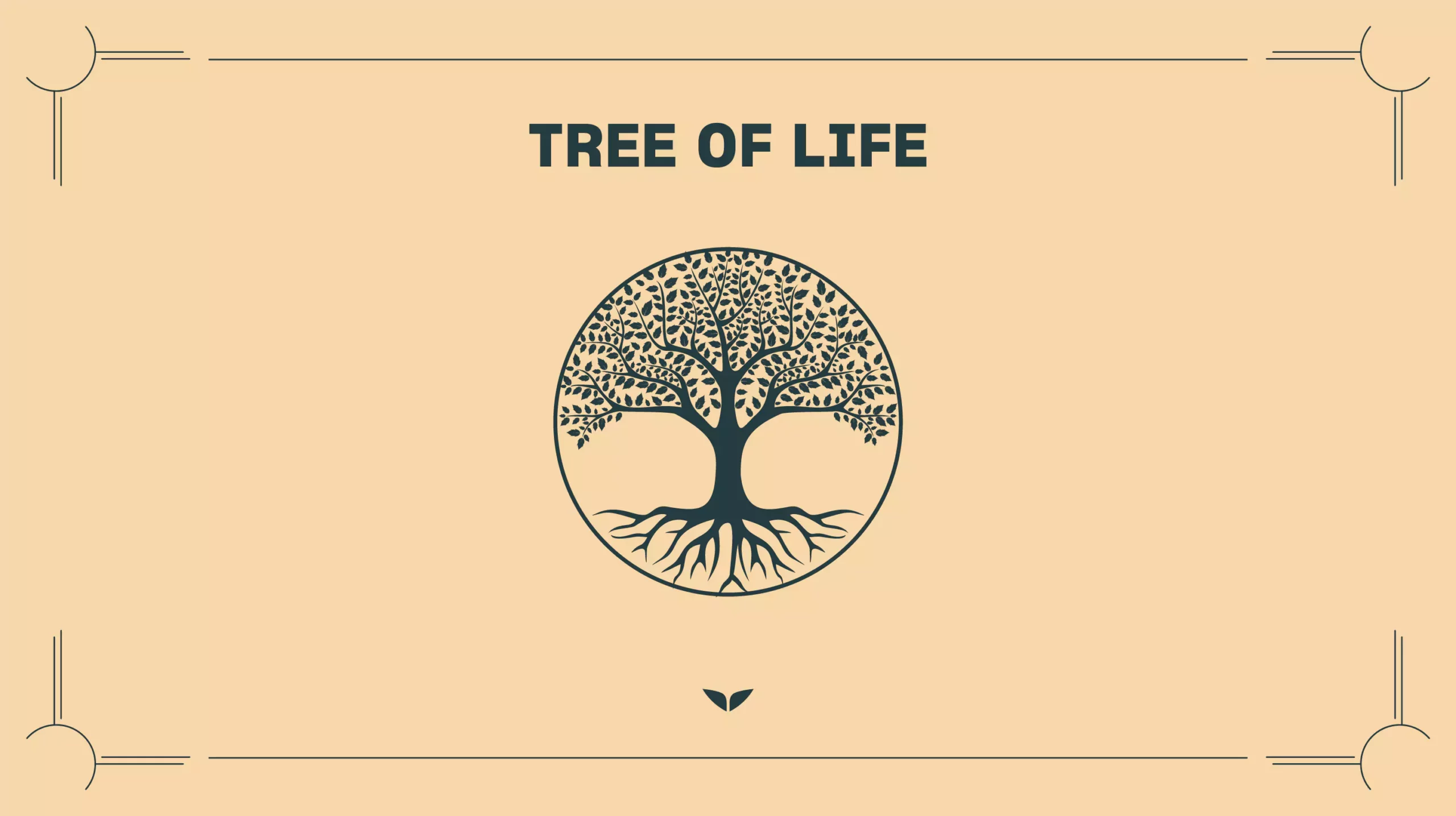 Custom graphic of the spiritual symbol, Tree of Life