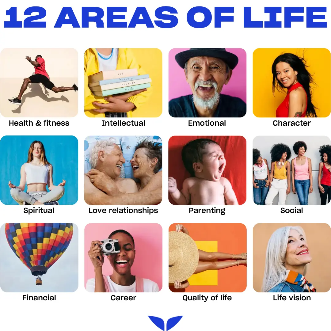 the 12 areas of life, including health, career, relationships, and personal growth.