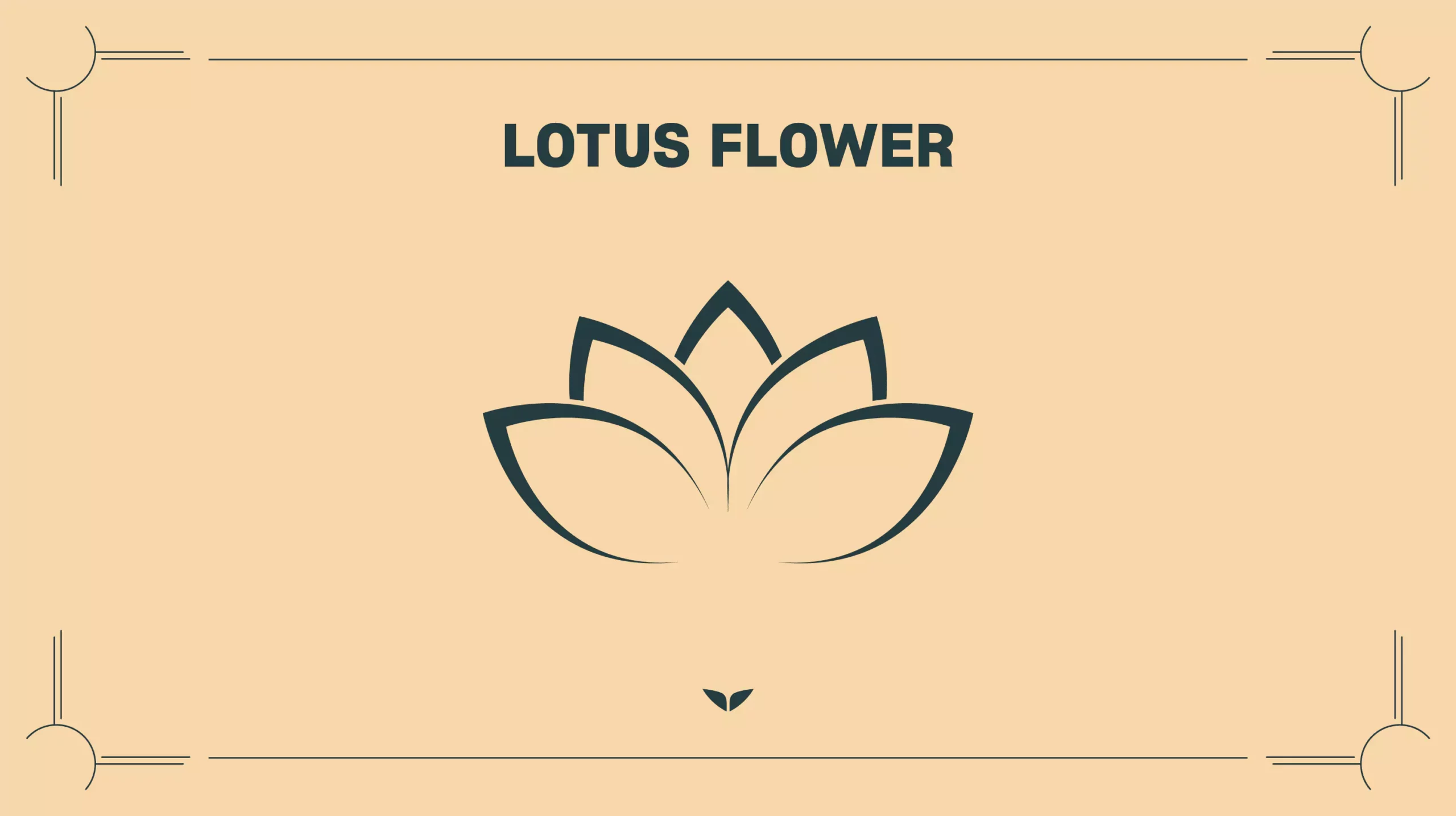 自定义图形精神符号Lotus Flower