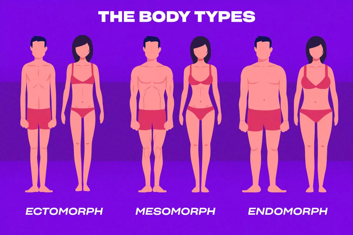 Endomorph male body types infographic