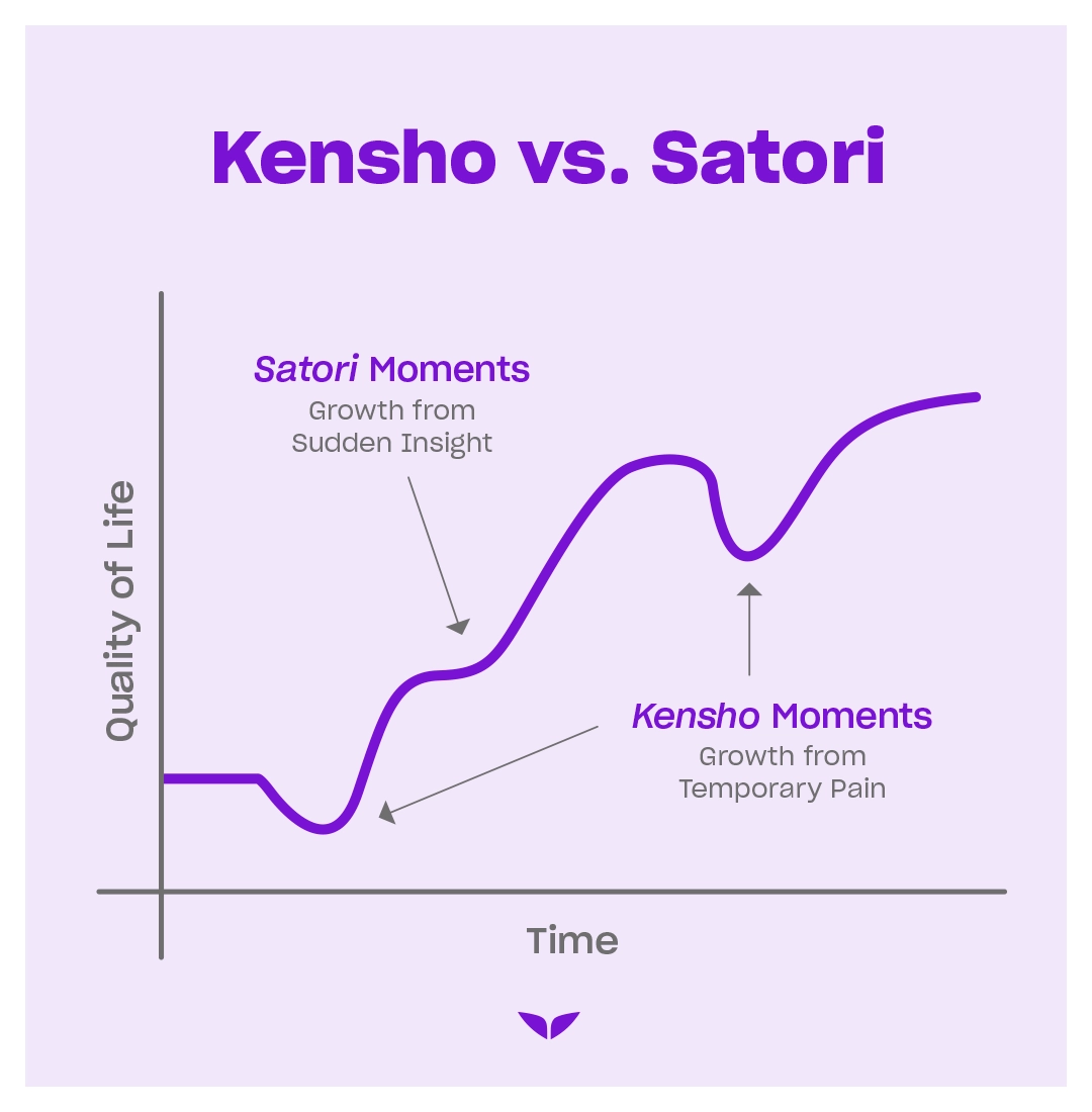 Kensho vs. Satori graph