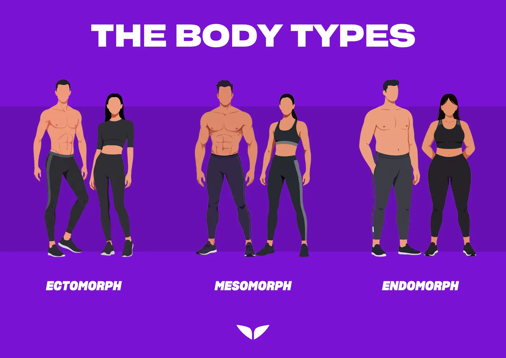 The three body types, including the ectomorph body type