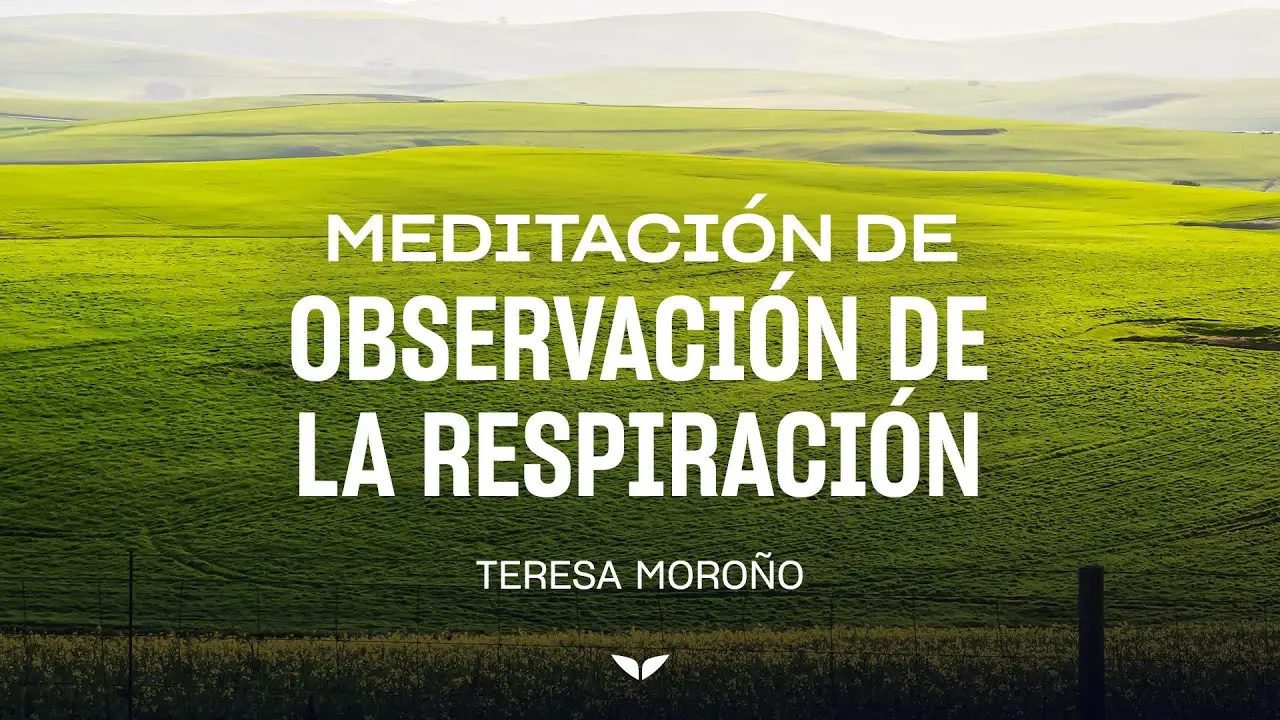 Respira y Renace: Meditación de Observación de la Respiración