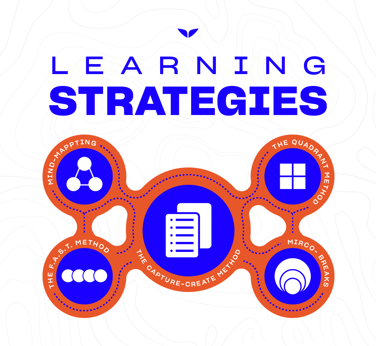 Learning strategies examples