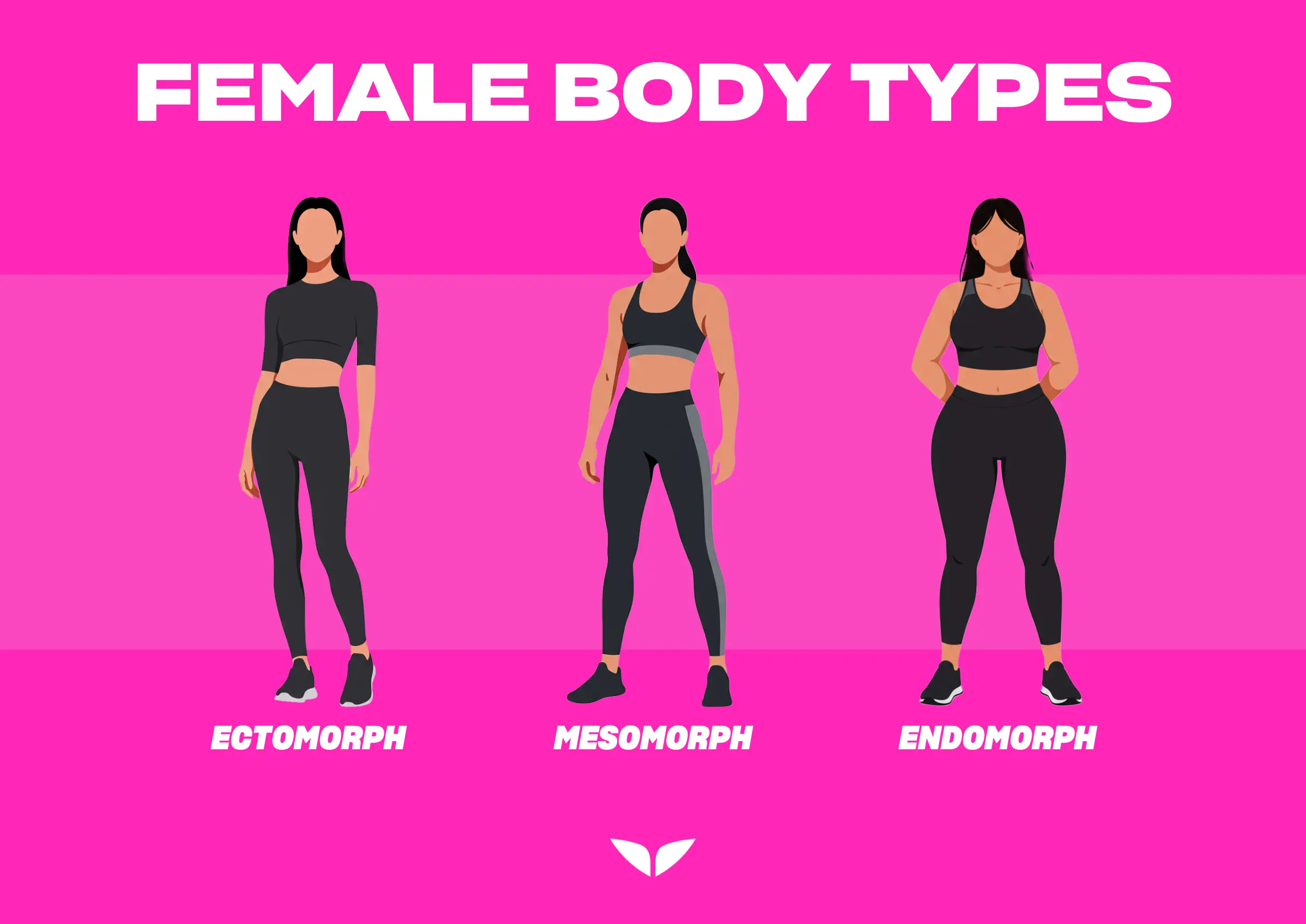 Three different body types for women: the endomorph female, the ectomorph female, and the mesomorph female