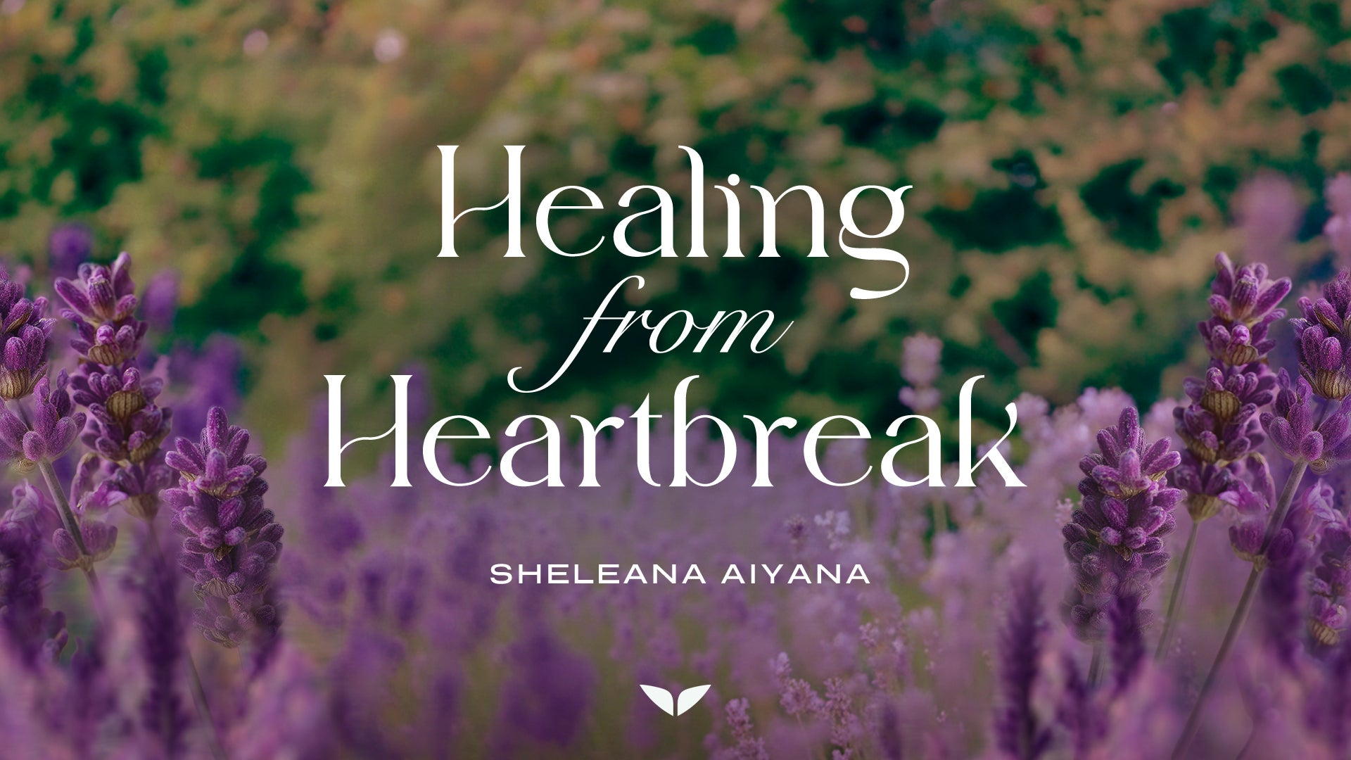Healing from Heartbreak