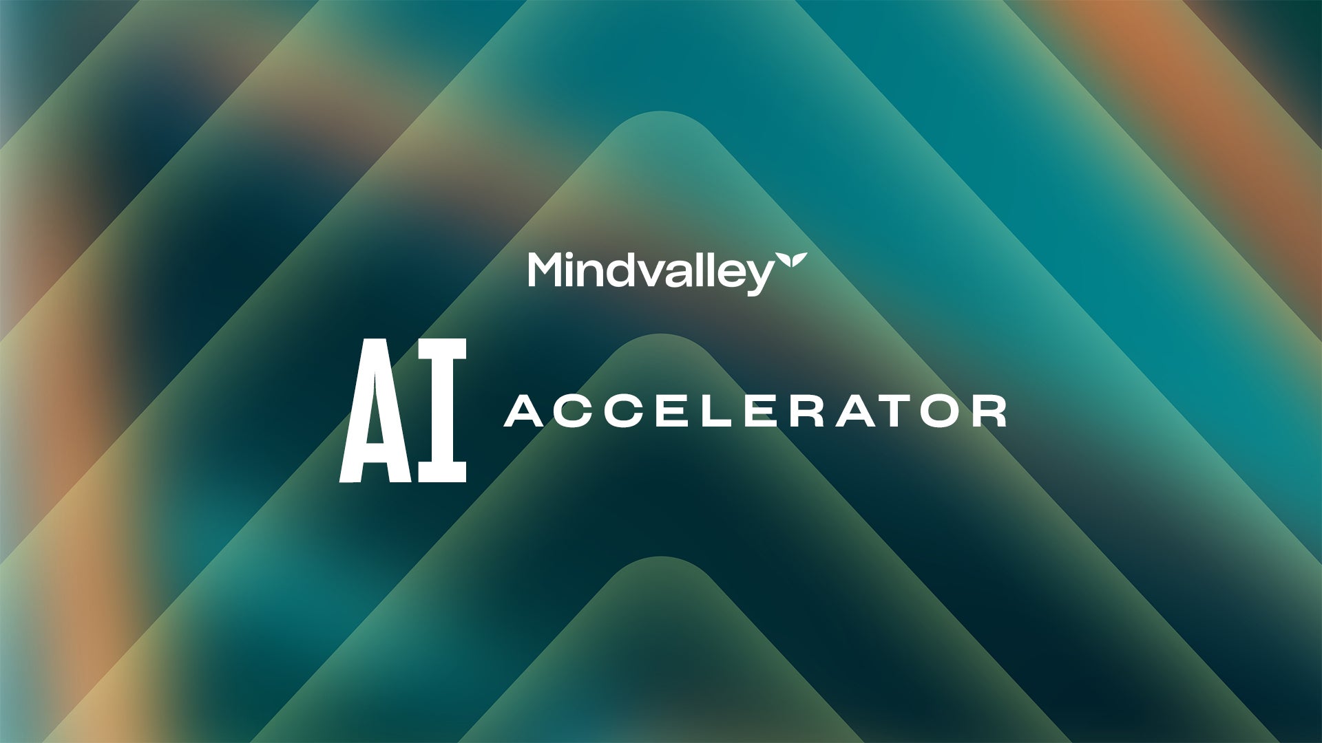 AI Accelerator