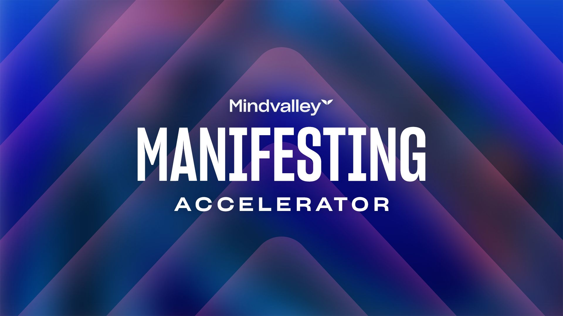 Manifesting Accelerator: The Wealth Frequency