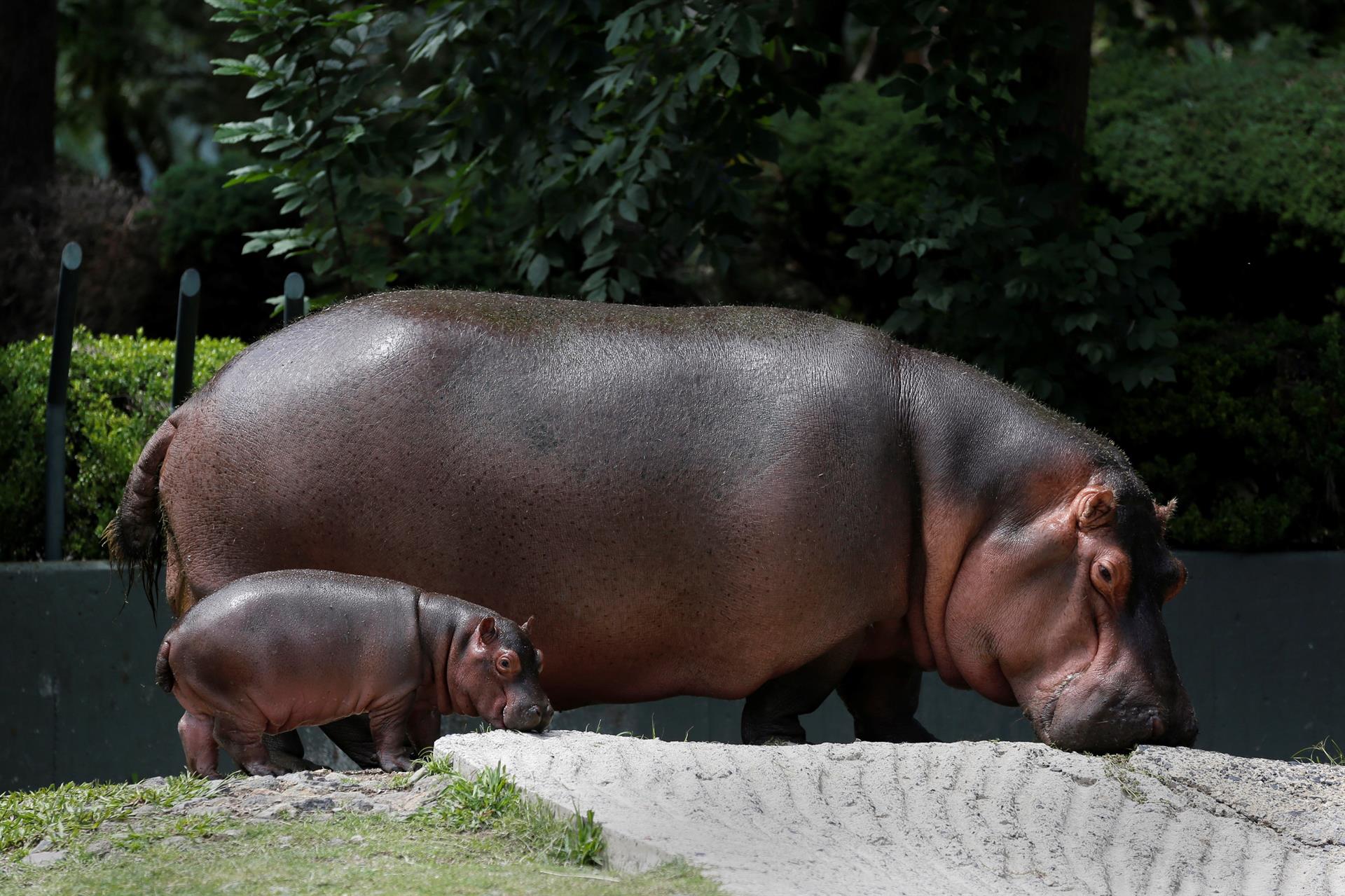 Madre e hijo