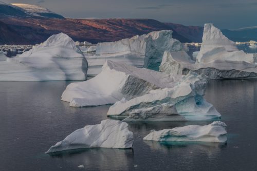 Hielo ártico